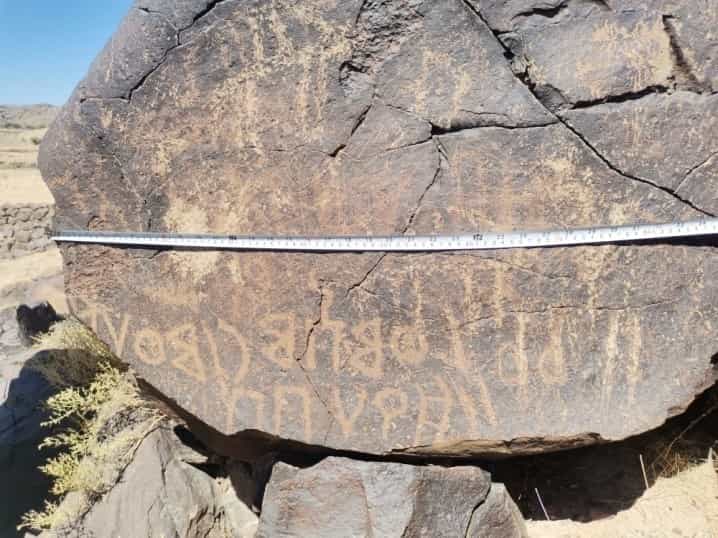 الشرعي موكل 2